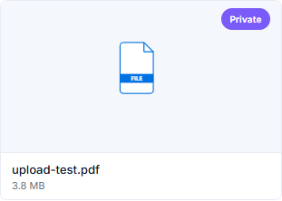 Uploaded file shown as a Private card with the filename and size below the icon