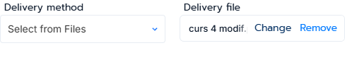 Selected delivery file box on hover showing Change and Remove actions